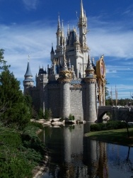 DisneyCastleO250